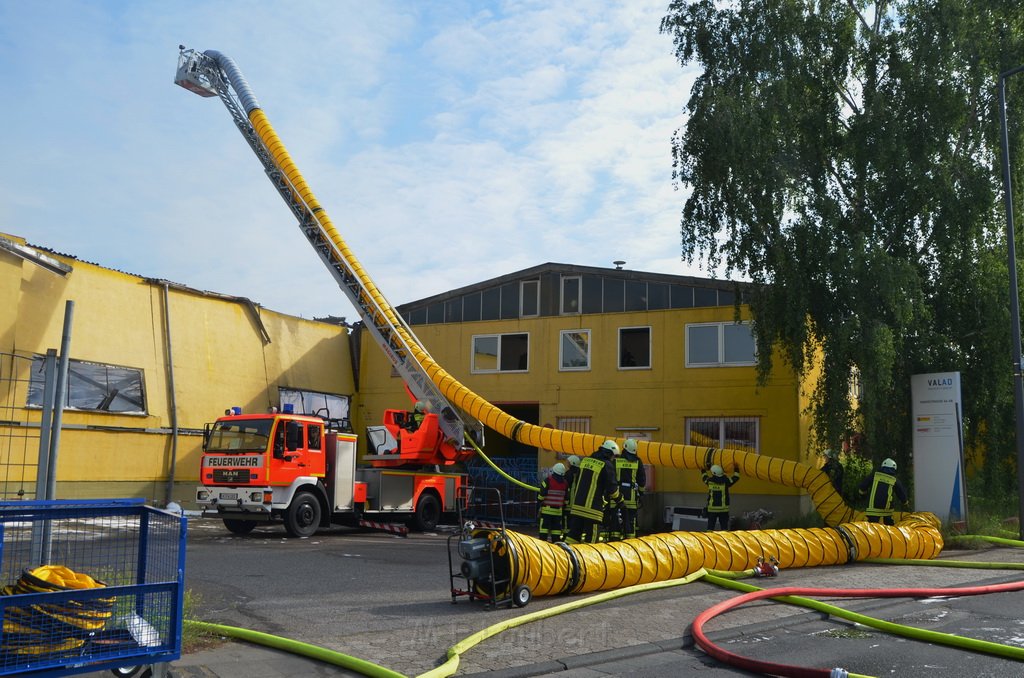 Grossfeuer Poco Lager Koeln Porz Gremberghoven Hansestr P596.JPG - Miklos Laubert